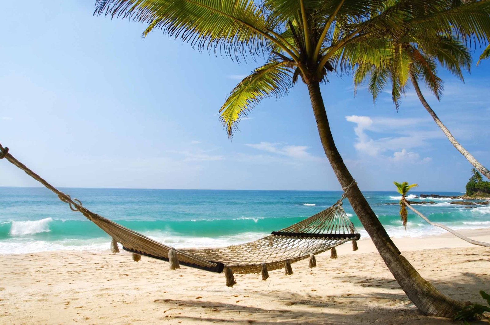 Relax